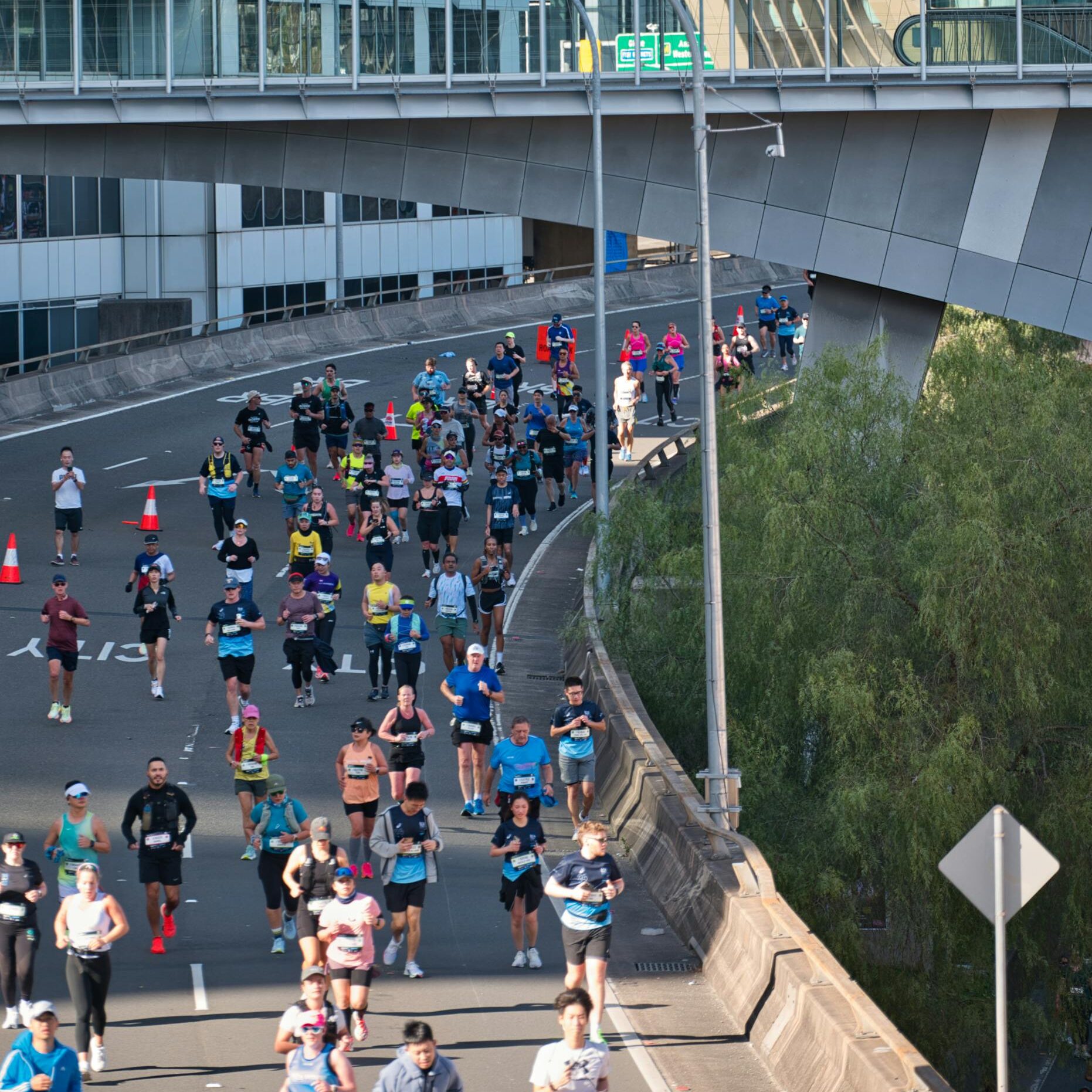 Massive group of marathon runners in Sydney navigating city streets on a sunny day.